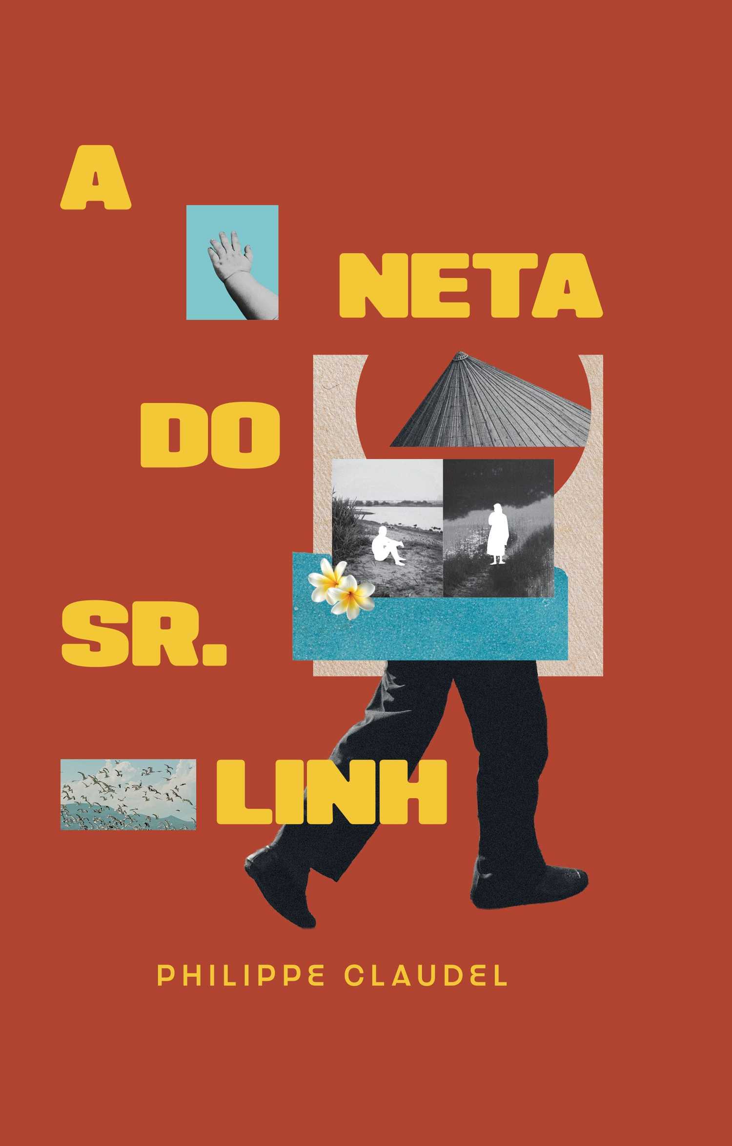 Capa do livro Remover Comparação