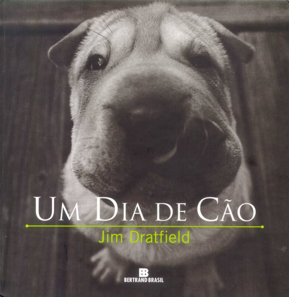 Capa do livro UM DIA DE CAO: A BELEZA ESTA NOS OLHOS DE QUEM VE